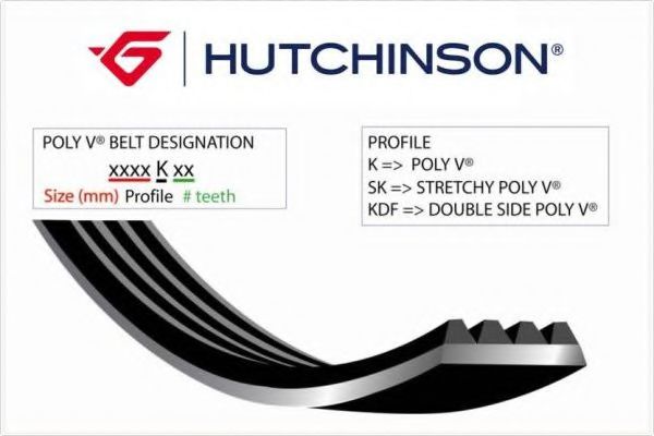 Correa de Alternador para HYUNDAI Sonata 2.0i 16V