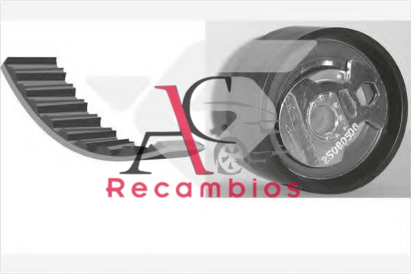 Kit de distribución para FORD Transit 2.5 TDE