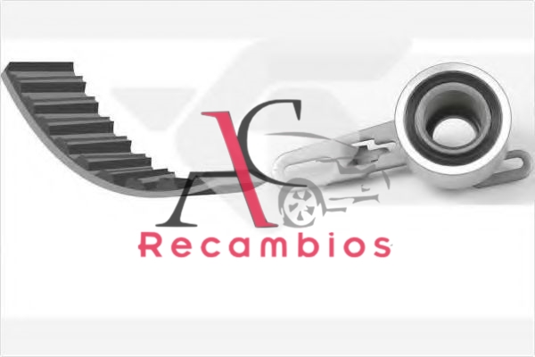 Kit de distribución para FORD Transit 2.5 TDE